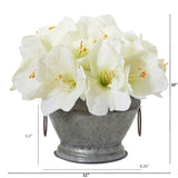10” Amaryllis Arrangement in Bowl with Copper Trimming