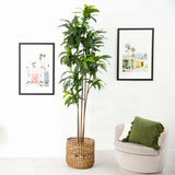 10' Artificial Dracaena Tree with Real Touch Leaves
