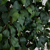 10' Artificial Ficus Tree