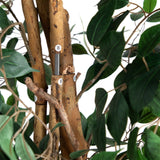 10' Artificial Ficus Tree with Natural Trunk