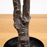 10' Artificial Minimalist Enkianthus Tree