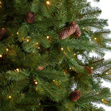 10' Fraser Fir Artificial Christmas Tree with 780 LED Lights and 2327 Bendable Branches