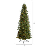 10' Fraser Fir Artificial Christmas Tree with 780 LED Lights and 2327 Bendable Branches