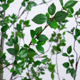 10' Minimalist Citrus Artificial Tree