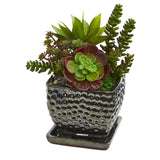 10" Succulent Garden Artificial Plant in Black Planter"