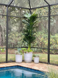 10' Triple Stalk Golden Cane Artificial Palm Tree