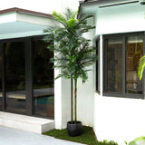 10' UV Resistant Artificial Double Robellini Palm Tree (Indoor/Outdoor)