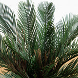2' Cycas Artificial Tree UV Resistant (Indoor/Outdoor)