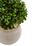 2' Eucalyptus in Sand Colored Bowl UV Resistant (Indoor/Outdoor)