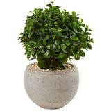 2' Eucalyptus in Sand Colored Bowl UV Resistant (Indoor/Outdoor)