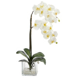 21” Phalaenopsis Orchid Artificial Arrangement in Glass Vase