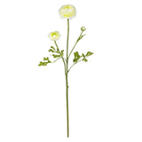 23" Ranunculus Stem (Set of 12)"