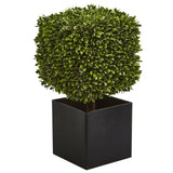 27” Boxwood Artificial Plant in Black Planter (indoor/Outdoor)