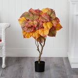 3' Autumn Umbrella Ficus Tree