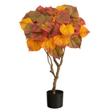 3' Autumn Umbrella Ficus Tree