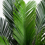 3' Cycas Palm Tree UV Resistant (Indoor/Outdoor)