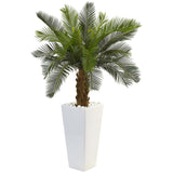 3' Cycas Tree in White Tower Planter