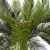 3' Cycas Tree in Wood Planter
