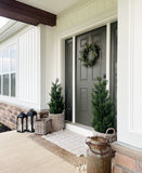 3' Mini Cedar Pine Tree (Indoor/Outdoor)