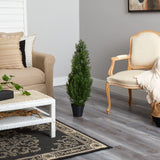 3' Mini Cedar Pine Tree (Indoor/Outdoor)