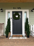 3' Mini Cedar Pine Tree (Indoor/Outdoor)