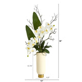 3' Phalaenopsis Orchid Artificial Arrangement in Cream Vase with Gold Base
