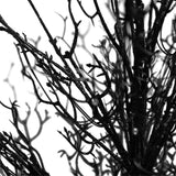 3' Pre-Lit Halloween Black Twig Artificial Fall Tree in Burlap Planter with 42 Warm White LED Lights