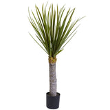 3' Yucca Tree w/699 Lvs
