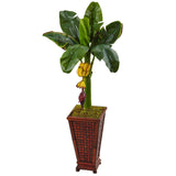 3.5' Banana Tree in Wooden Planter
