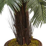 3.5' Cycas Tree in Wood Planter