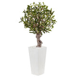 3.5' Olive Tree in White Tower Planter