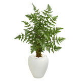 3.5' Ruffle Fern Artificial Palm Tree in White Planter