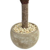 3.5' Yucca Tree in Sand Colored Bowl