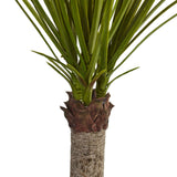 3.5' Yucca Tree in Sand Colored Bowl