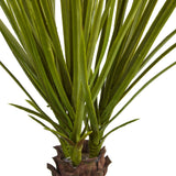 3.5' Yucca Tree in Sand Colored Bowl