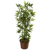 4' Bamboo Tree in Coiled Rope Planter