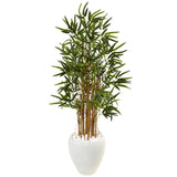 4' Bamboo Tree in White Oval Planter