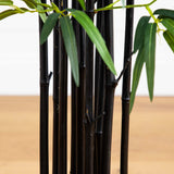 4' Black Bamboo Tree