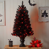 4' Black Halloween Artificial Christmas Tree in Urn with 100 Orange LED Lights