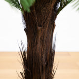4' Cycas Tree UV Resistant (Indoor/Outdoor)