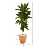 4' Dracaena Artificial Plant in Terra-Cotta Planter (Real Touch)