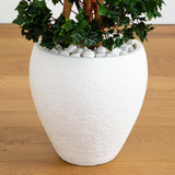 4' English Ivy Topiary Tree in White Oval Planter UV Resistant (Indoor/Outdoor)