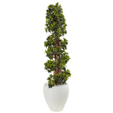 4' English Ivy Topiary Tree in White Oval Planter UV Resistant (Indoor/Outdoor)