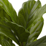 4' Fiddle Leaf Tree UV Resistant (Indoor/Outdoor)