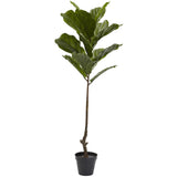4' Fiddle Leaf Tree UV Resistant (Indoor/Outdoor)