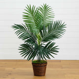 4' Kentia Palm Tree in Coiled Rope Planter