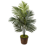 4' Kentia Palm Tree in Coiled Rope Planter