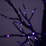 4' Pre-Lit Artificial Halloween Twig Tree with 240 Orange & Purple LED Lights