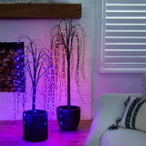4' Pre-Lit Halloween Black Willow Artificial Fall Tree with 120 Orange & Purple LED Lights