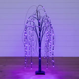 4' Pre-Lit Halloween Black Willow Artificial Fall Tree with 120 Orange & Purple LED Lights